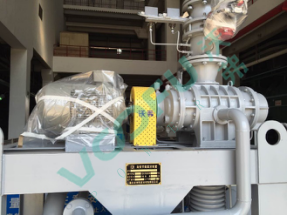 国投宣城电厂(真空泵22kW/2980rpm)