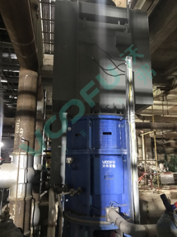 惠东电力贺州铝电(凝结水泵1120kW/1480rpm)