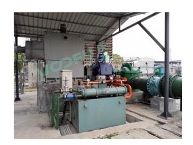 巴陵石化(循环水泵400kW/980rpm)