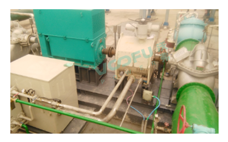 四川普光气田（循环水泵450kW/980rpm）