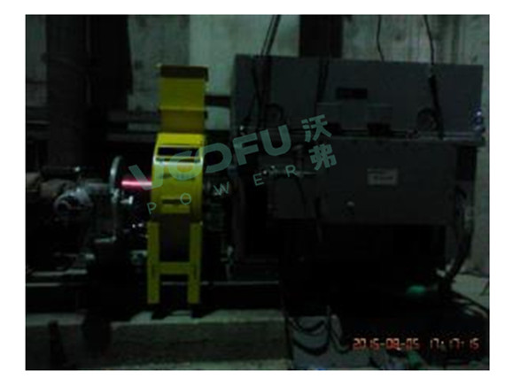 淮矿顾桥电厂(河下取水泵280kW/1480rpm)