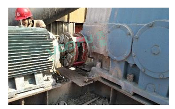 中铝山东水泥厂(斜斗提升机55kW/1480rpm)