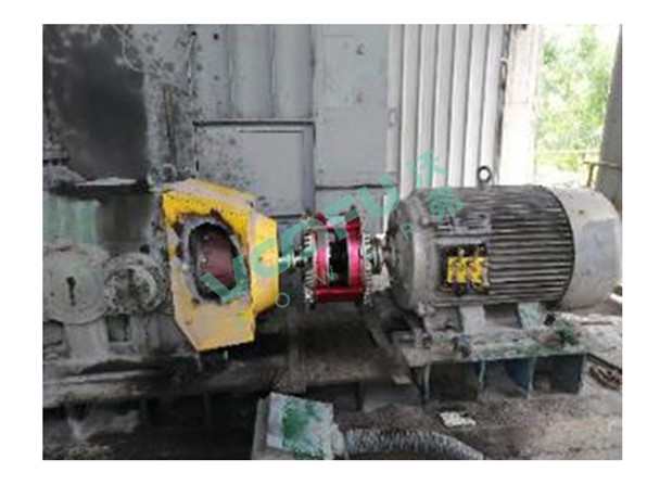 惠州塔牌水泥有限公司(提升机90kW/1480rpm)