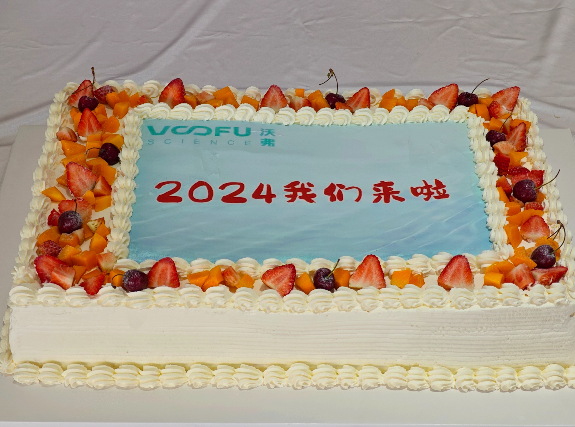 1706663335870733.jpg 1706663335870733.jpg