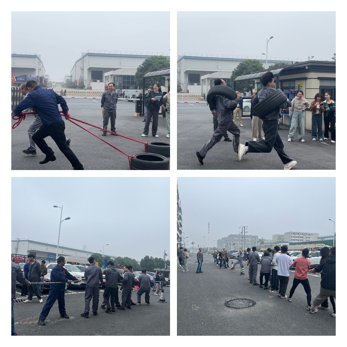 1731898590773471.jpg 1731898590773471.jpg