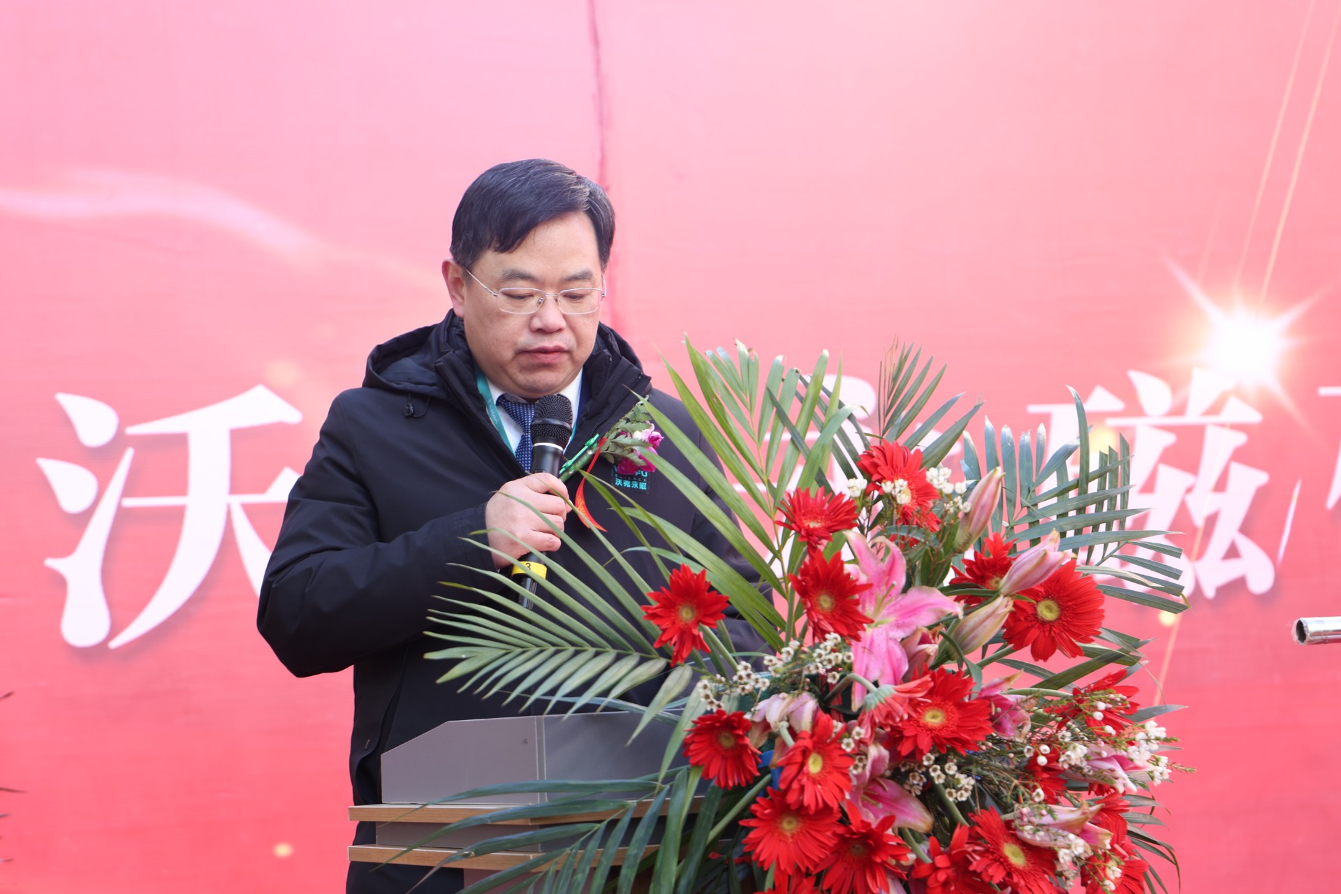 1736747324968535.jpg 1736747324968535.jpg